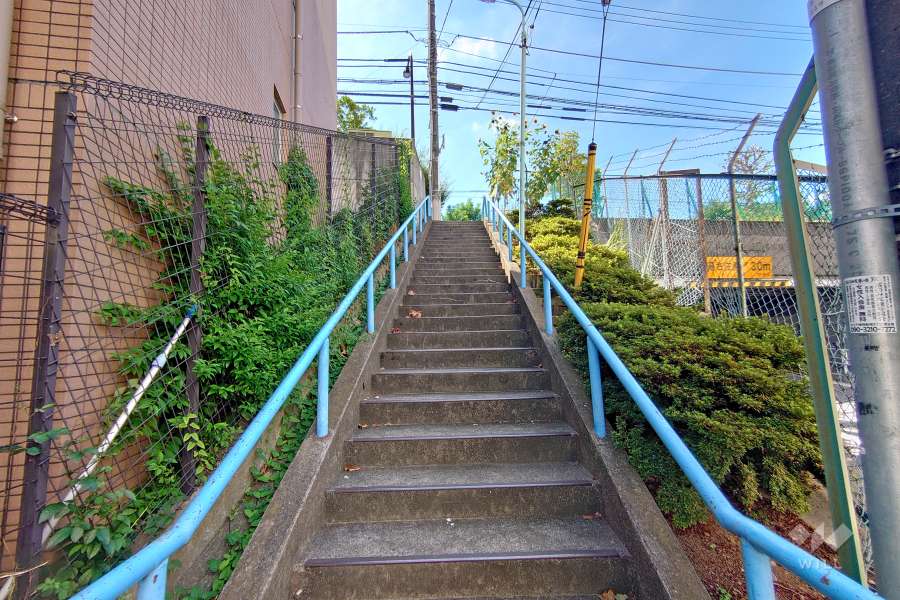 敷地西側の前面道路（北側から）