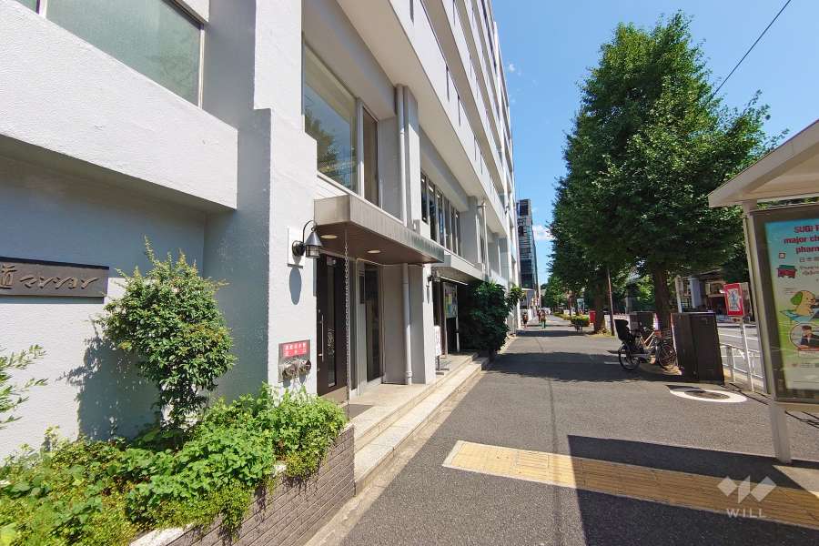 敷地西側の前面道路（北側から）