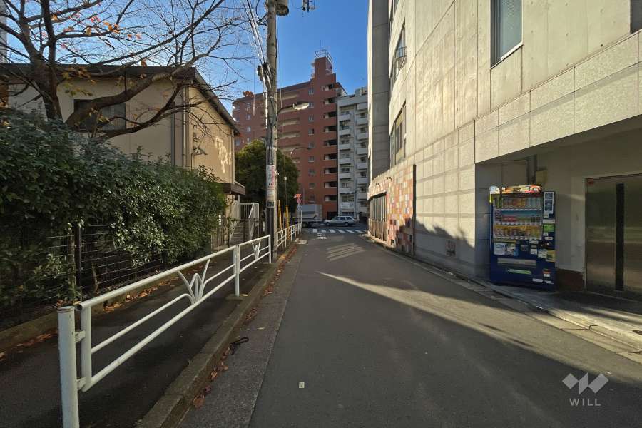 敷地東側の前面道路（北側から）