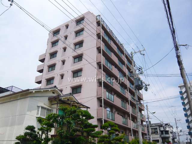 エクセル武庫川の遠景（南西側から）