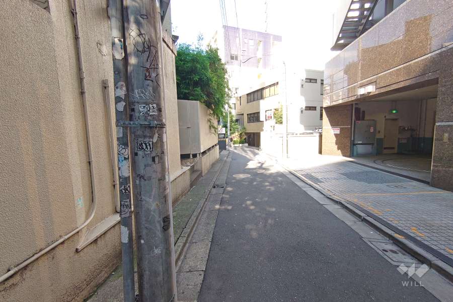 敷地南東側の前面道路（南西側から）