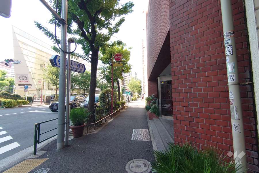 敷地南西側の前面道路（南東側から）