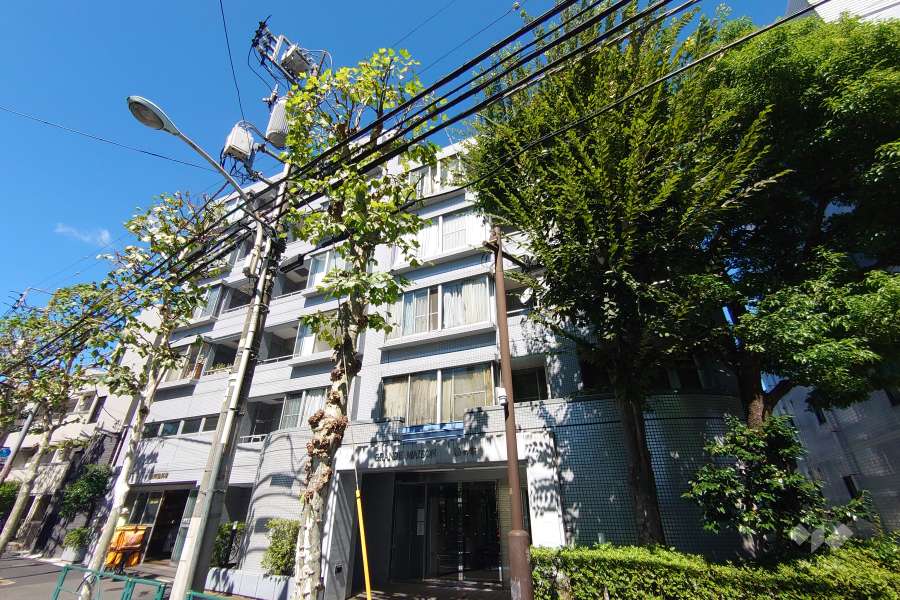 グランドメゾン幡ヶ谷の外観（南東側から）