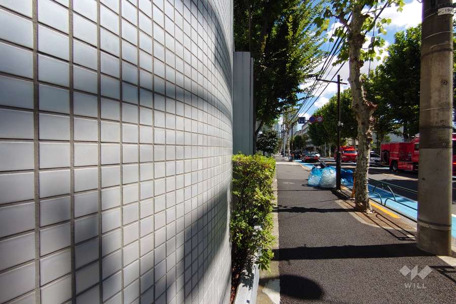 敷地南側の前面道路（西側から）