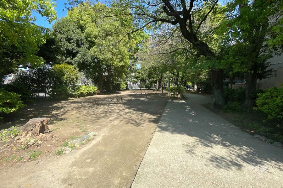 敷地に隣接する『玉川上水旧水路緑道』