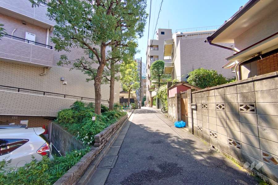 敷地西側の前面道路（北側から）