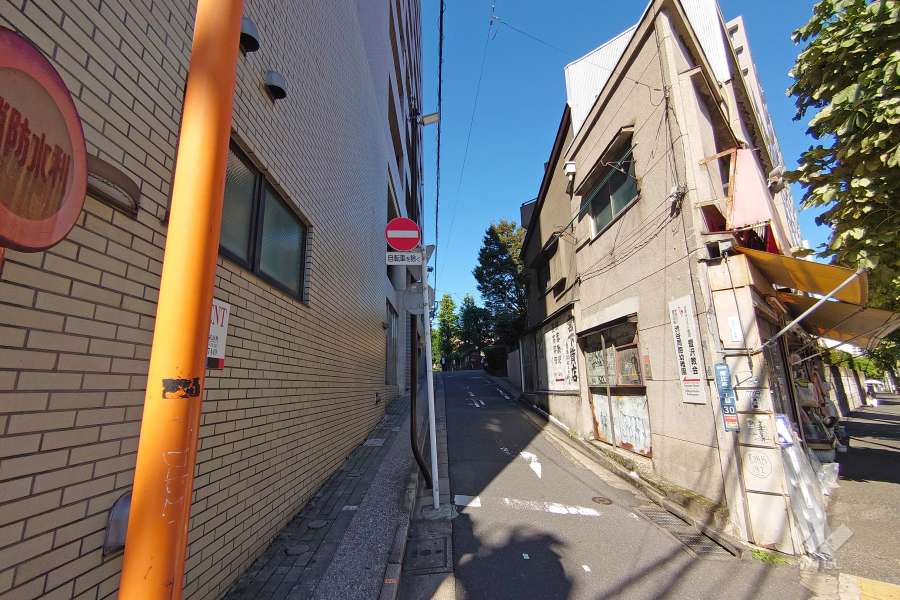 敷地北東側の前面道路（南東側から）