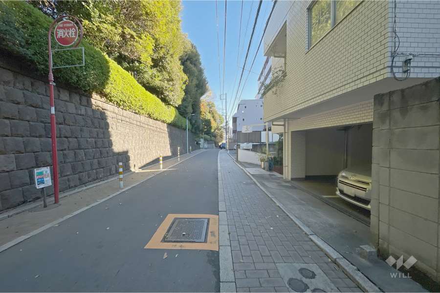 敷地北西側の前面道路（南西側から）