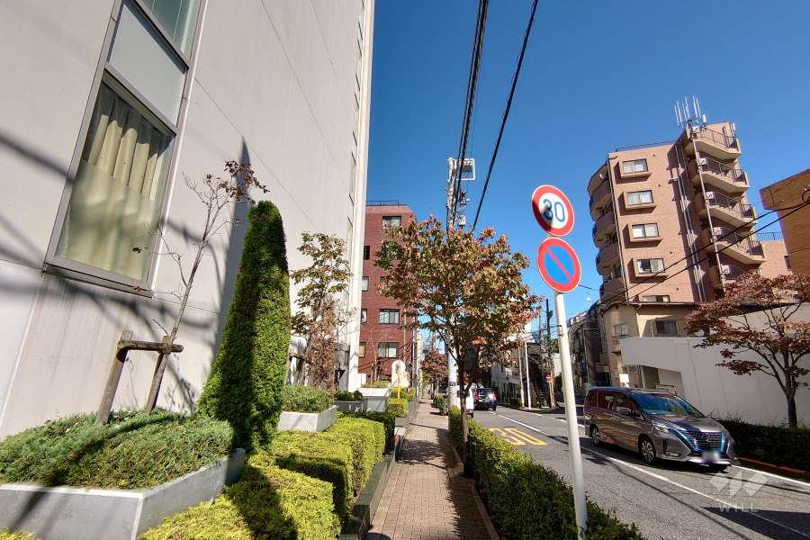 敷地東側の前面道路（南側から）
