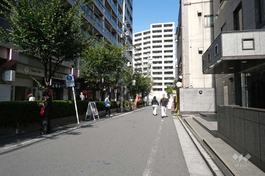 敷地東側の前面道路（南側から）