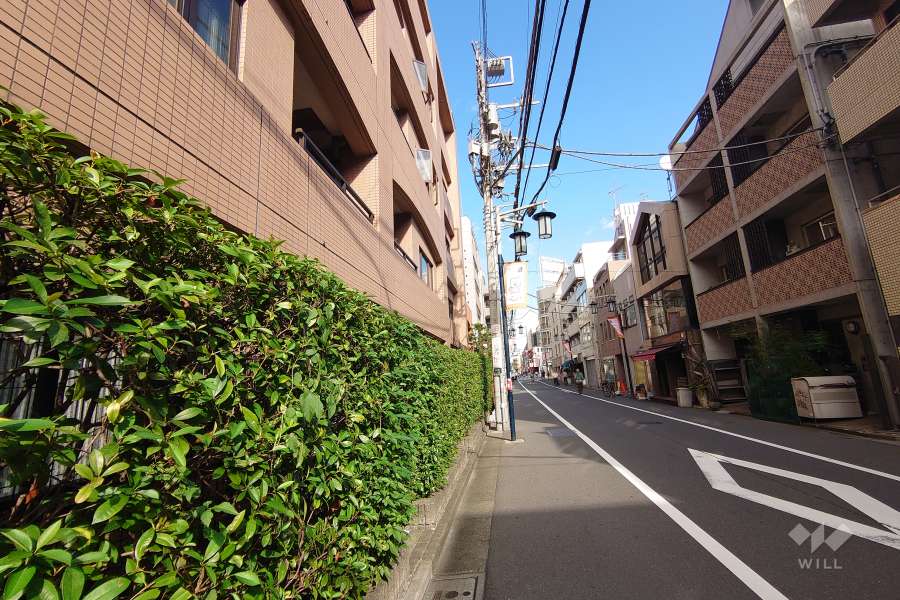 敷地北東側の前面道路（南東側から）