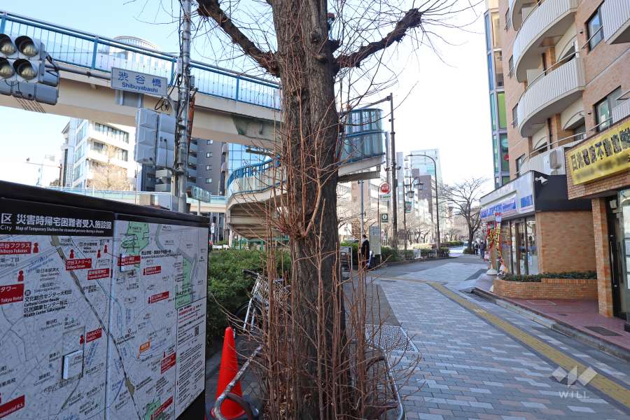 敷地西側の前面道路（南側から）