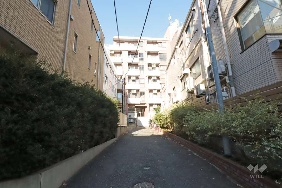 敷地南側の前面道路（南側から）