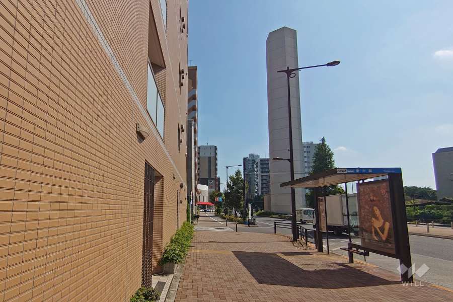 敷地西側の前面道路は山手通り沿いです（北側から）。目の前にバス停があります。