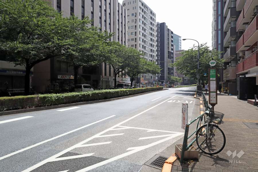 敷地南側の前面道路