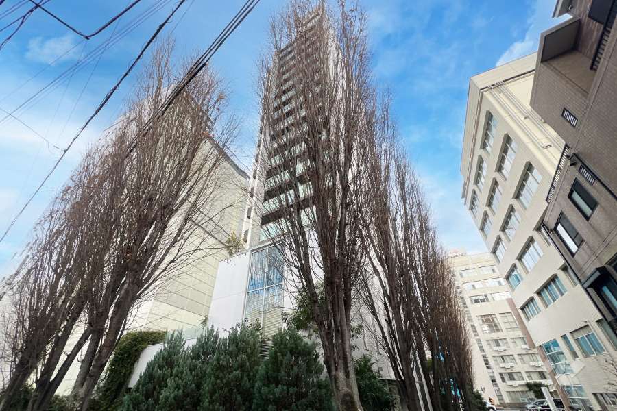 モデルノトッレ松濤の外観（南西側から）