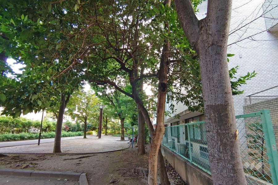 敷地南東側の前面道路