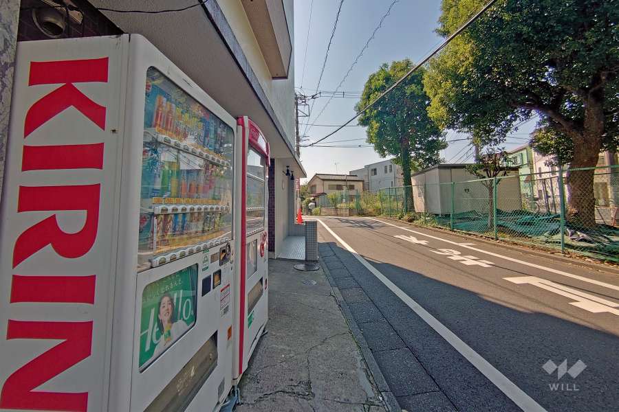 敷地の北側道路（西側から）