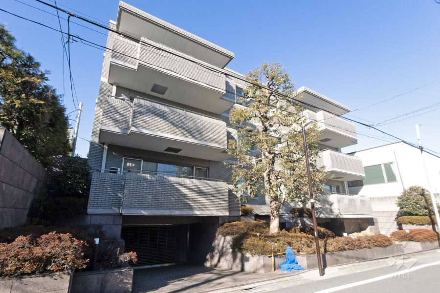 徳川山パークマンションの外観（南西側から）