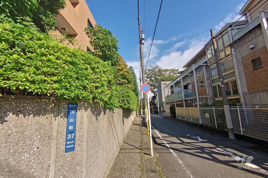 敷地東側の前面道路（南側から）