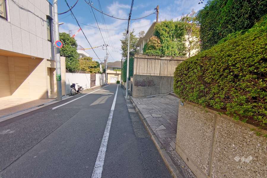 敷地西側の前面道路（南側から）