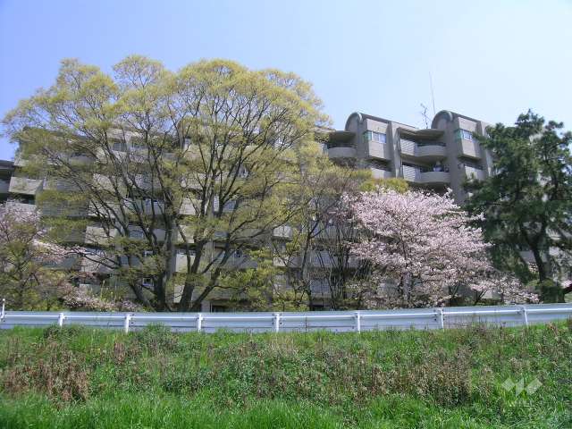 パレ武庫川プルミエール2の外観（西側「武庫川」から）
