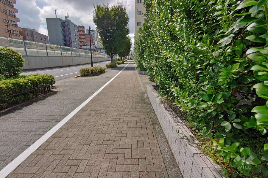 敷地東側の前面道路（北側から）