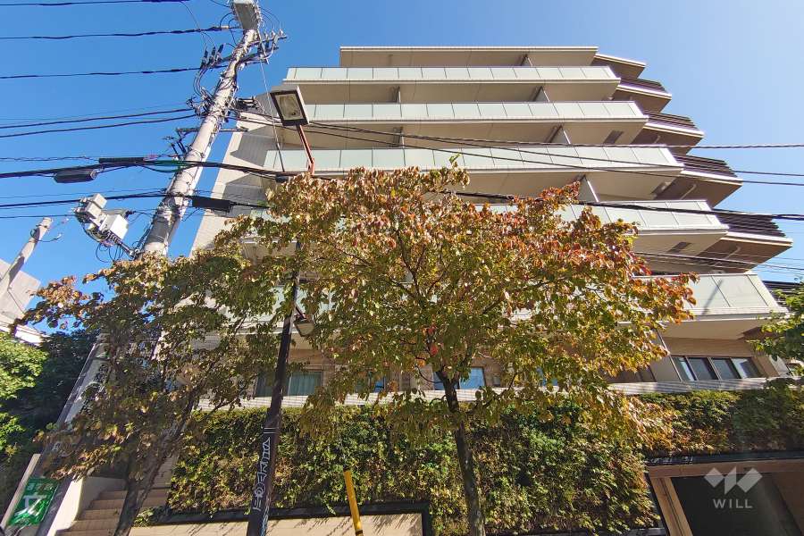 ザパークハウス代官山の外観（南側から）