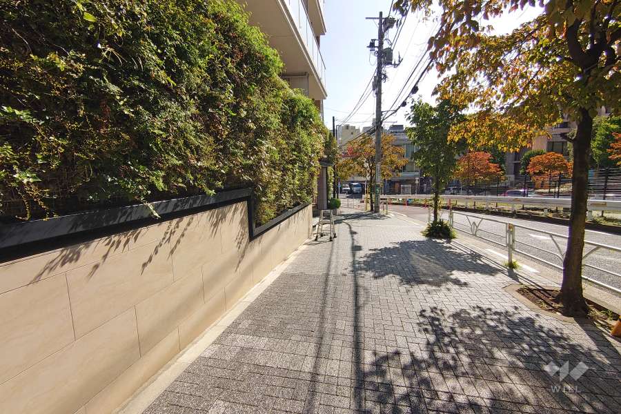 敷地南側の前面道路（西側から）