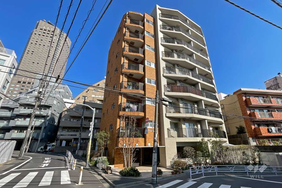 敷地北西側道路の先には『桜丘公園』があります。