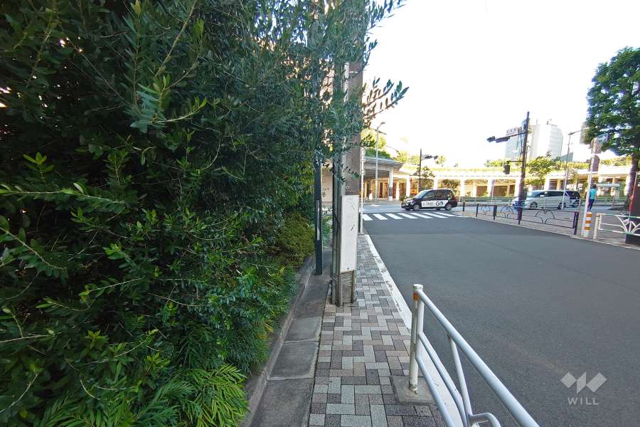 南西側の前面道路（北西側から）