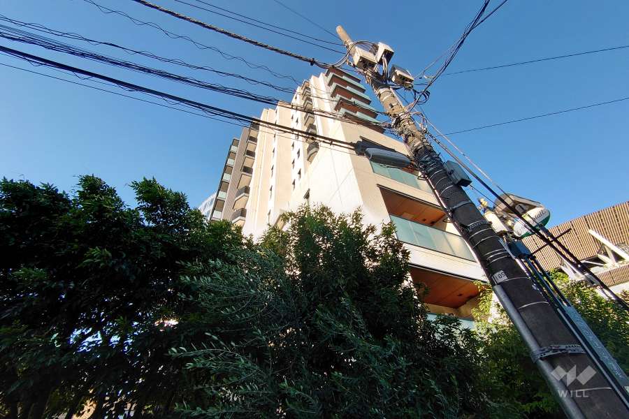 シャリエ神宮外苑の外観（南西側から）