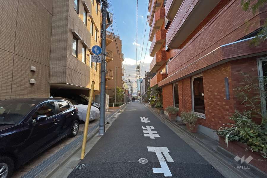 敷地北西側の前面道路（北東側から）