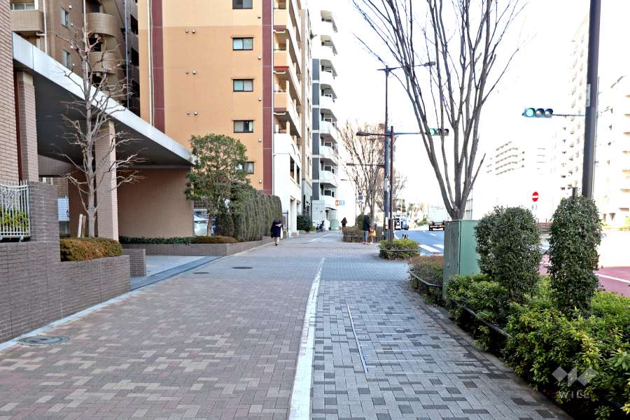 敷地東側の前面道路（南側から）
