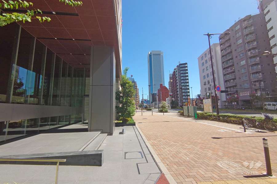 敷地南東側の前面道路（北西側から）