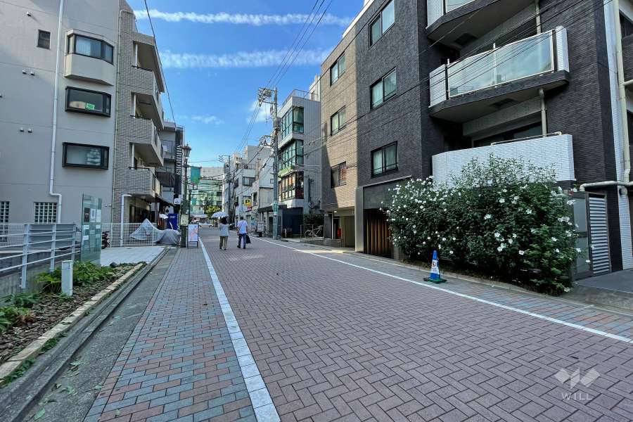 敷地内の各所に植栽スペースが設けられています。