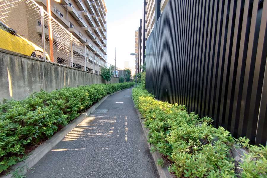 敷地東側の前面道路（北側から）