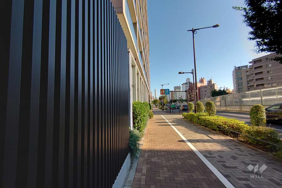 敷地西側の前面道路（北側から）