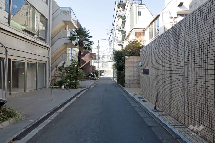 敷地南西側の前面道路(南東方面から)