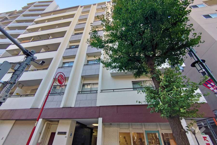 シャトレー幡ヶ谷の外観（南側から）