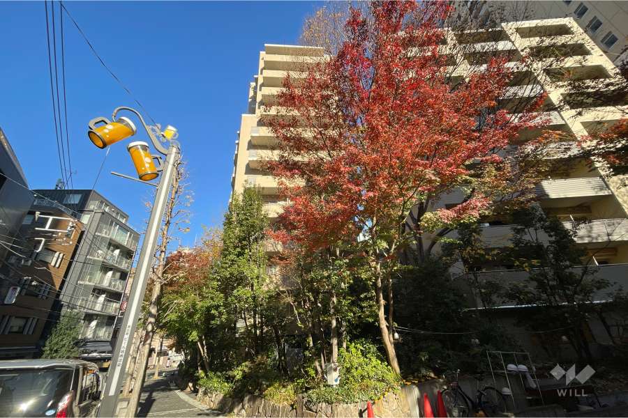 グランドメゾン恵比寿の杜フロントレジデンスの外観（南西側から）