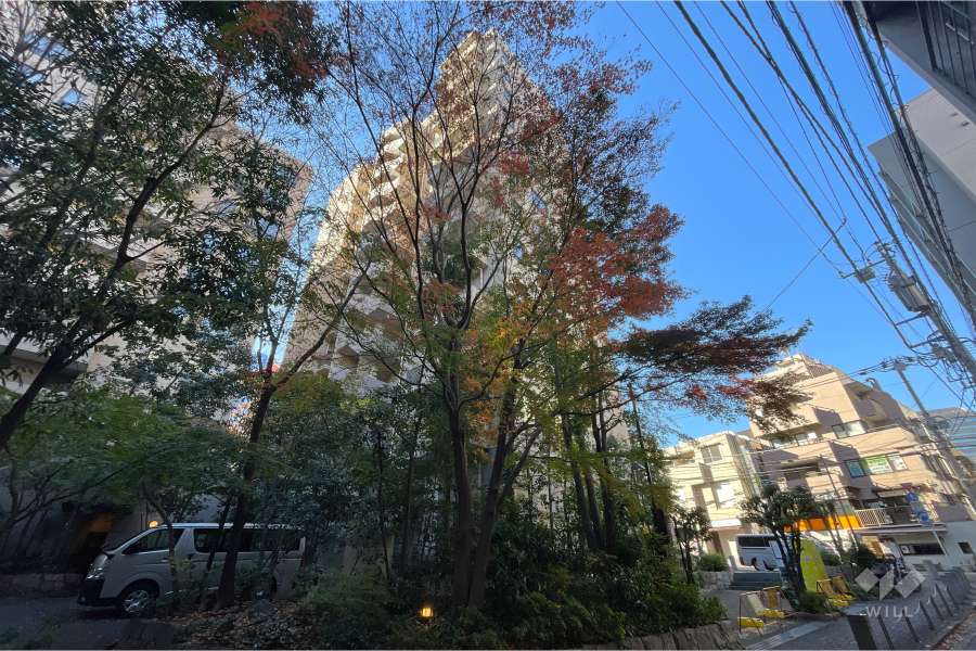 グランドメゾン恵比寿の杜フロントレジデンスの外観（北東側から）