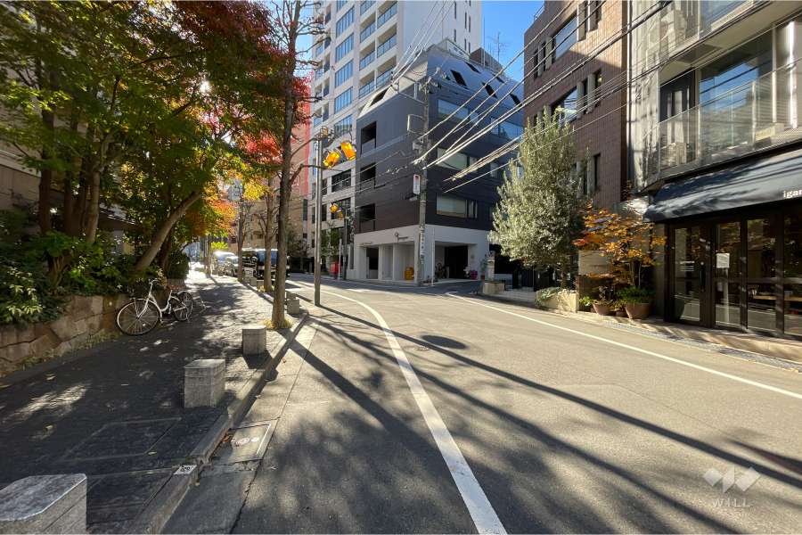 敷地西側の前面道路（北側から）