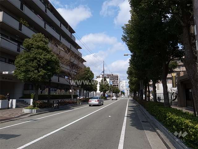 敷地東側の前面道路。JR尼崎駅に続く街路樹のきれいな通りです。