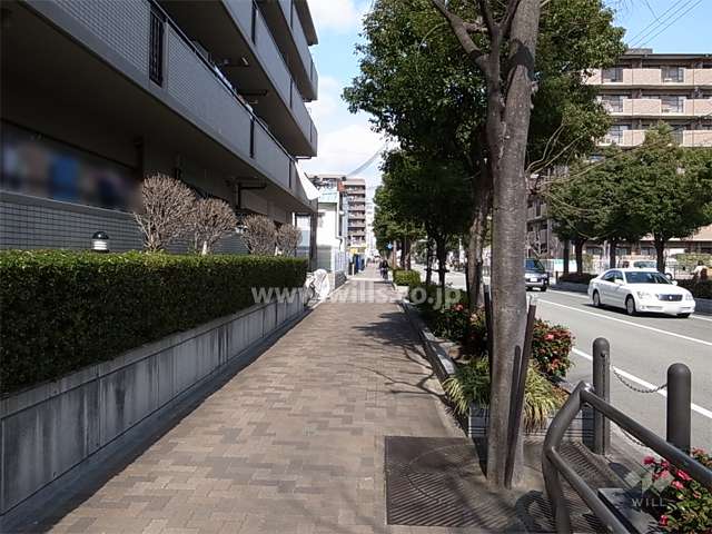 前面道路には歩道が付いています。