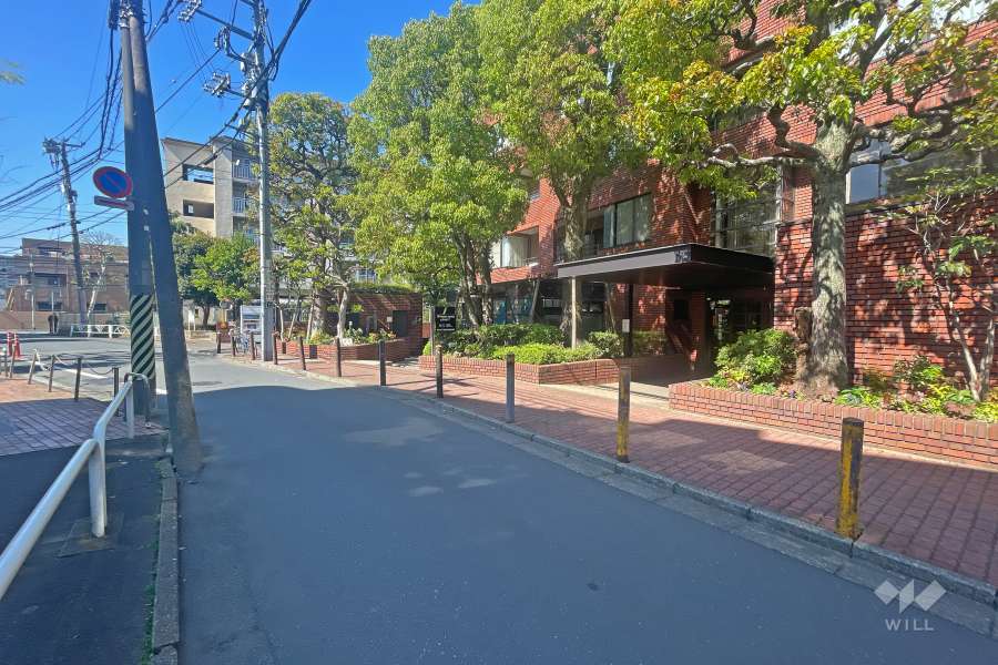 敷地南西側の前面道路（南東側から）