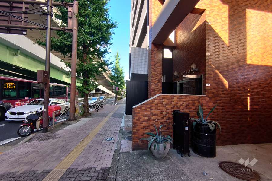 敷地北西側の前面道路（南西側から）