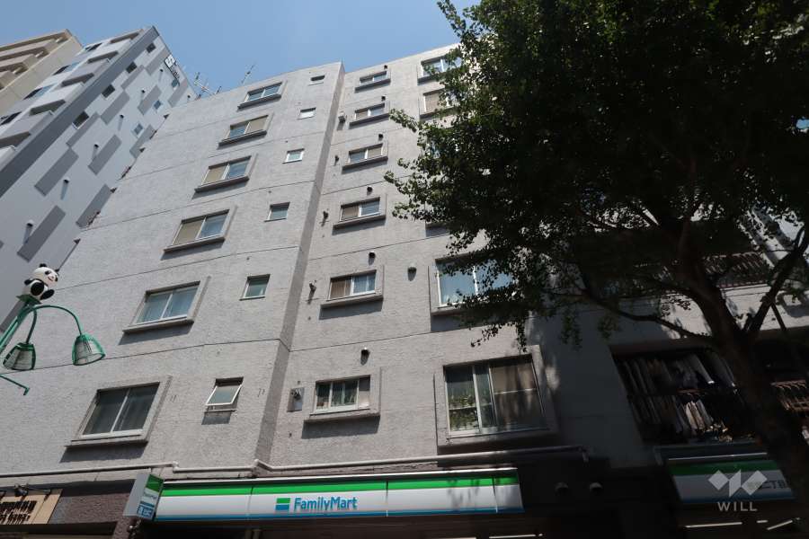 セイワパラシオン笹塚外観(南側から)