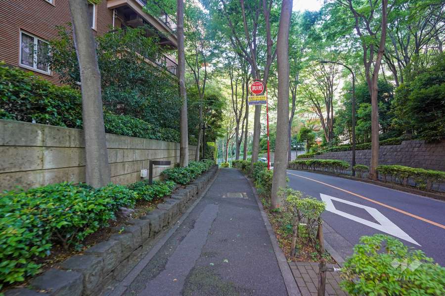 敷地西側の前面道路（北側から）