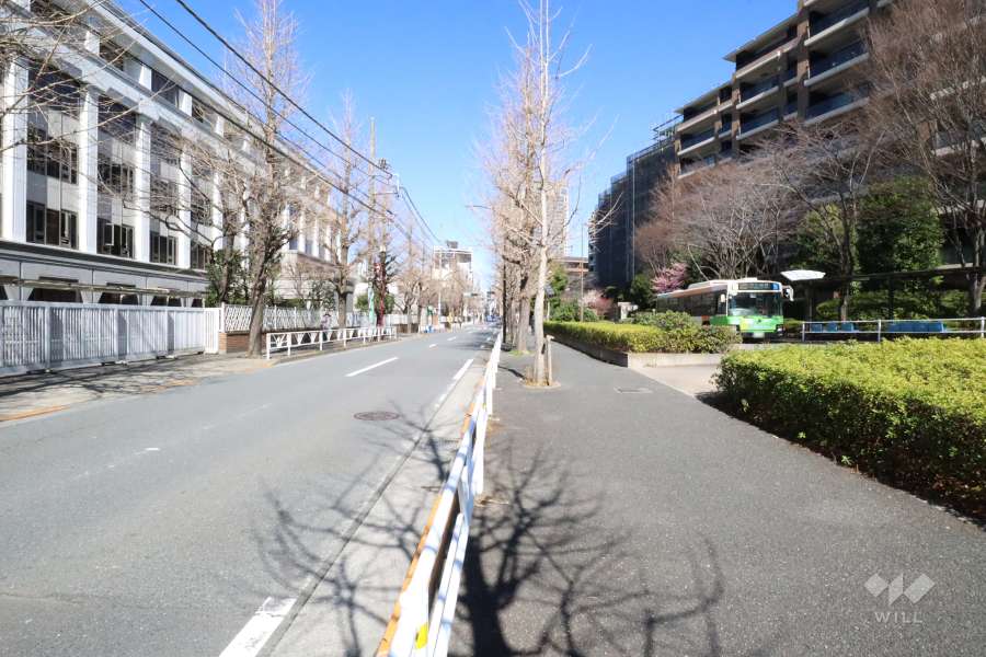 敷地西側の前面道路(南側から)